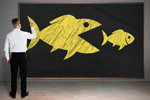Rear View Of A Businessman Drawing Sketch Of Big Fish Eating Small Fish On Blackboard
