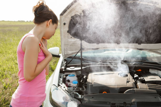 istock Woman Calling On Mobilephone For Road Service 1079268424