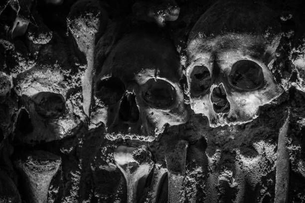 istock A WALL OF HUMAN SKULLS 1079272008