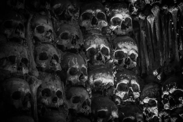 istock WALL OF HUMAN SKULLS 1079272174