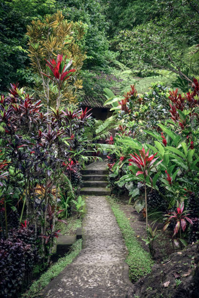 Path in the garden of Bali, Indonesia
