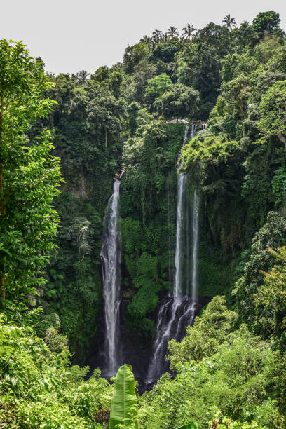 istock Sekumpul Waterfall in the jungle, Bali, Indonesia 1079282862