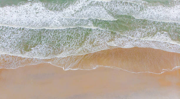 istock Aerial View of Beach 1079288254