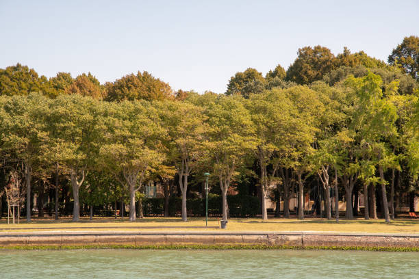 vista da lagoa de veneza, de um parque da cidade de veneza, itália - lagoa veneziana - fotografias e filmes do acervo