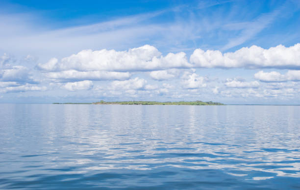 istock Gulf of Mexico and Cedar Keys 1079306220