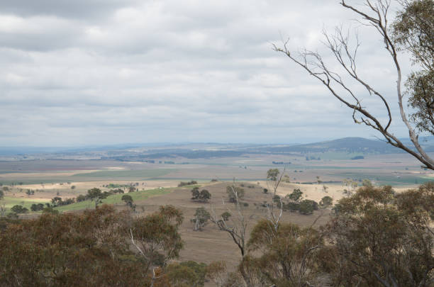 istock Australian farm and fields from a mountain lookout 1079311650