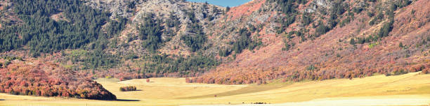 Box Elder Canyon landscape views, popularly known as Sardine Canyon, North of Brigham City within the western slopes of the Wellsville Mountains, by Logan in Cache County a branch of the Wasatch Range of the Rocky Mountains in Utah, in the Western United States vistas de paisaje cuadro viejo cañón, popularmente conocidos como el cañón de sardina, al norte de ciudad de brigham en las laderas occidentales de las montañas de wellsville, por logan en el condado de cache una rama de la gama de wasatch de las mont