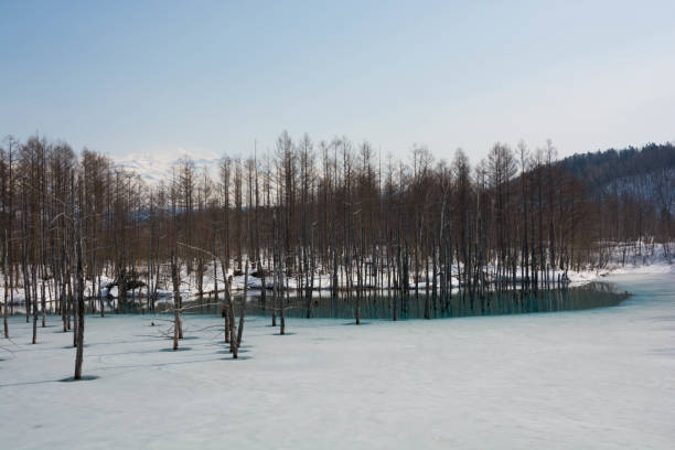 istock Early spring lake in Biei 1079326304