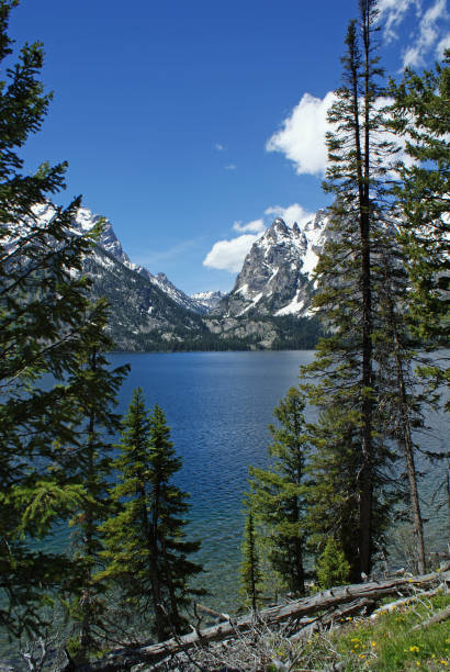 istock Summer in the Tetons 1079326952
