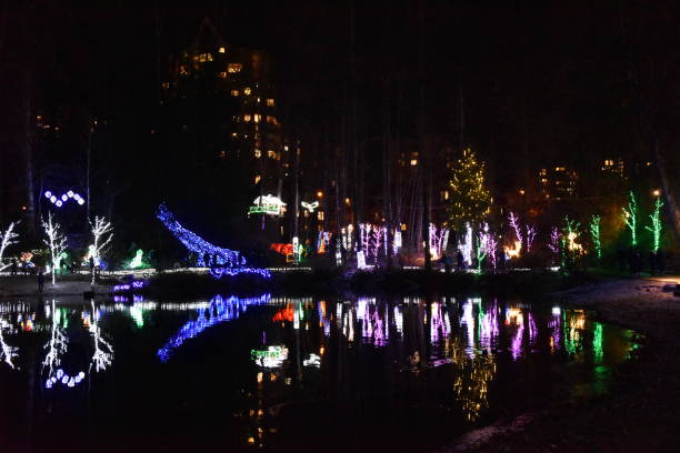 istock Christmas Lights in Coquitlam 1079354896