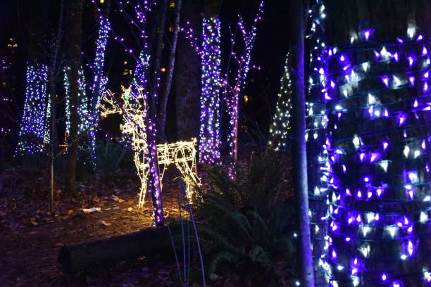 istock Christmas Lights deer in the forest 1079355592