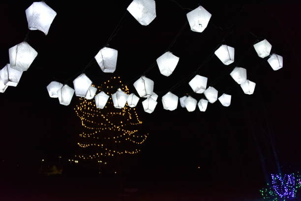 istock Christmas Lights at Lafarge lake 1079400646