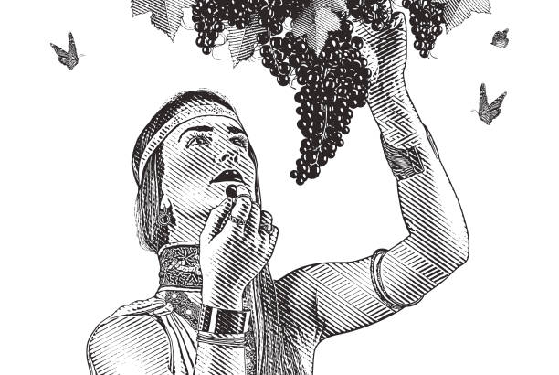 illustrazioni stock, clip art, cartoni animati e icone di tendenza di donna che raccoglie uva da vino - wine grape harvesting crop