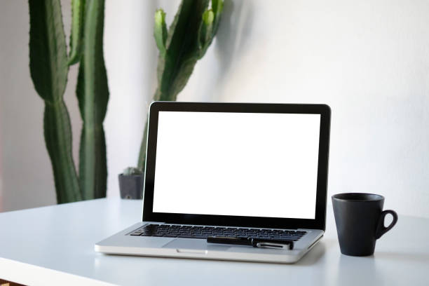 istock Workplace mockup concept. Mock up home decor laptop computer and cactus with copy space for products display montage.Mockup desktop 1079411250