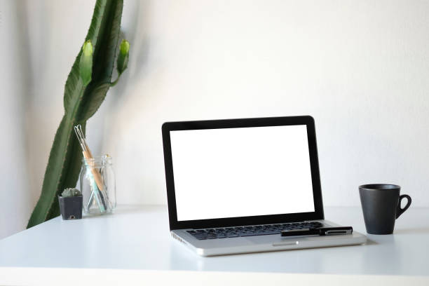 istock Workplace mockup concept. Mock up home decor laptop computer and cactus with copy space for products display montage.Mockup desktop 1079411252