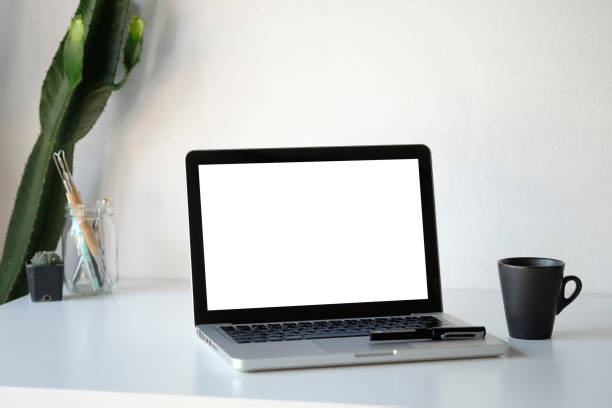 istock Workplace mockup concept. Mock up home decor laptop computer and cactus with copy space for products display montage.Mockup desktop 1079411268
