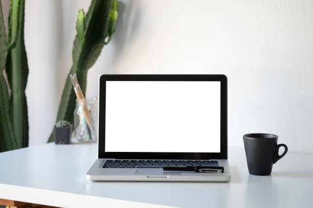 istock Workplace mockup concept. Mock up home decor laptop computer and cactus with copy space for products display montage.Mockup desktop 1079411630