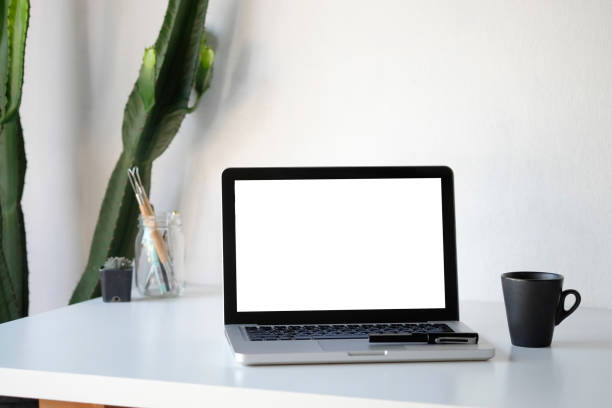 istock Workplace mockup concept. Mock up home decor laptop computer and cactus with copy space for products display montage.Mockup desktop 1079411642