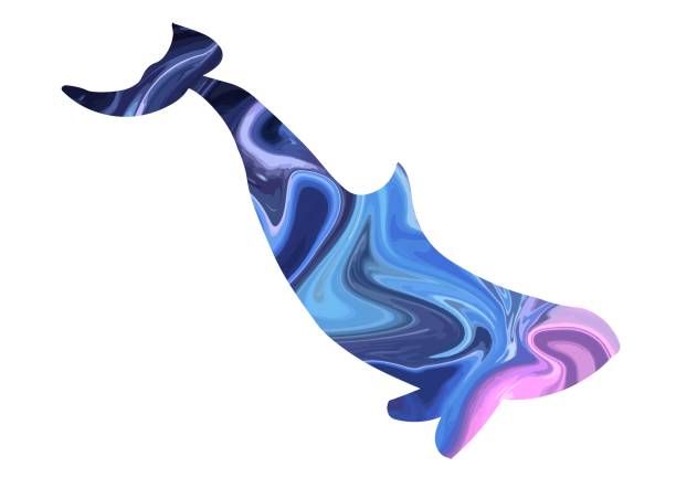 istock Orca whale silhouette filled with acrylic abstract paint. Vector isolated illustration 1079423590