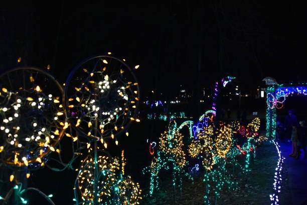 istock Christmas season lights 1079431242