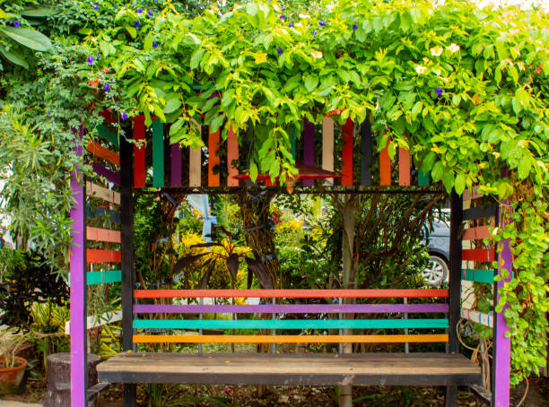 istock Wooden chair covered with trees 1079433228