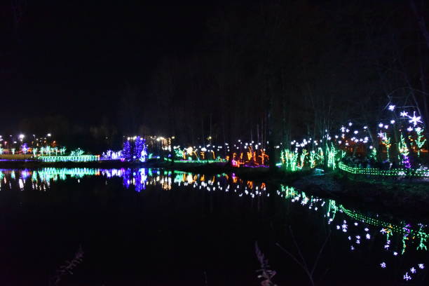 istock Lake surrounded by Christmas Lights 1079437388