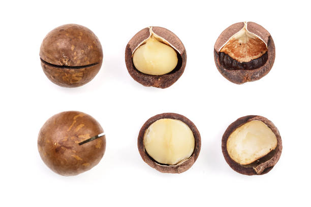 istock Shelled and unshelled macadamia nuts isolated on white background. Top view. Flat lay pattern. Set or collection 1079439548