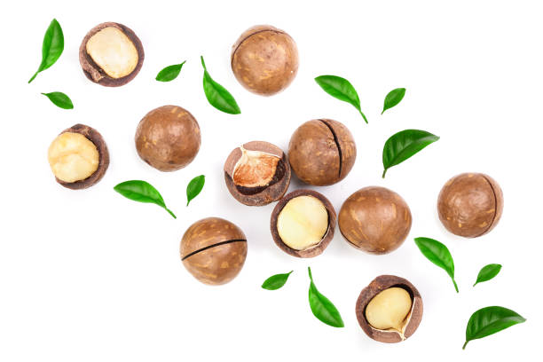 istock Shelled and unshelled macadamia nuts with leaves isolated on white background with copy space for your text. Top view. Flat lay pattern 1079439550