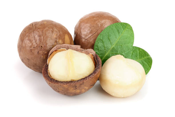 istock Shelled and unshelled macadamia nuts with leaves isolated on white background 1079439558