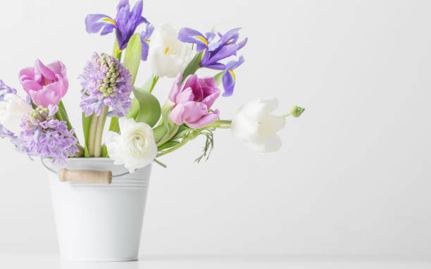 istock spring flowers in bucket on white  background 1079461754
