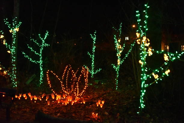 istock Christmas Lights in public park 1079470180