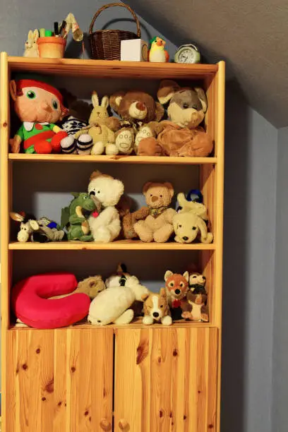 Photo of Plush toys sitting on shelves