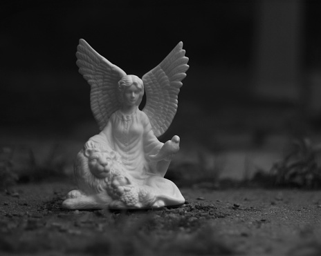 close up outdoor shot of a ceramic angel with fauna in black and white