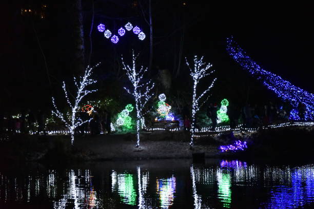 istock Christmas Lights reflections on a lake 1079483676