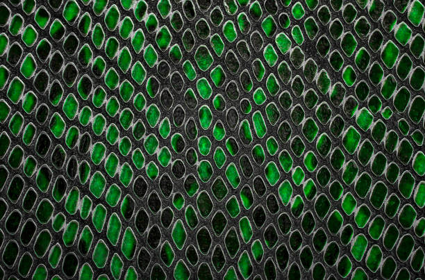 istock Green snake skin background 1079486998