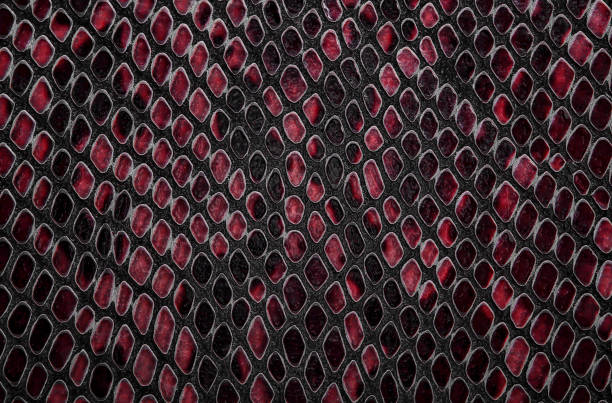 istock Snake skin background. Red color. 1079487008
