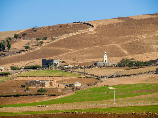 Landscape around the road from Safi to Marrakech Landscape in the middle of the road from Safi to Marrakech, Morocco marrakesh safi photos stock pictures, royalty-free photos & images