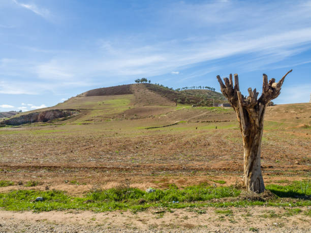 Landscape around the road from Safi to Marrakech Landscape in the middle of the road from Safi to Marrakech, Morocco marrakesh safi photos stock pictures, royalty-free photos & images