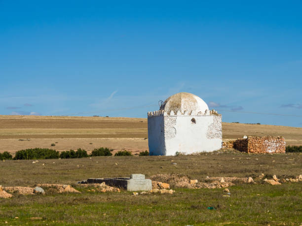 Small mosque and cemetery, Morocco Small mosque and cemetery near the village of Kouablia, Morocco marrakesh safi photos stock pictures, royalty-free photos & images