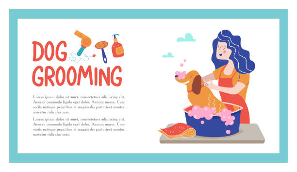 ilustrações de stock, clip art, desenhos animados e ícones de ðñð½ð¾ð²ð½ñðµ rgb - dog bathtub washing puppy