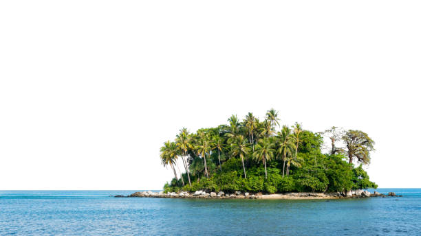 Small island in tropical andaman sea on white background