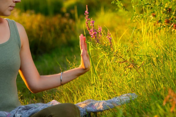 touche douce de la fleur par la main de la jeune fille au coucher du soleil - tibet monk buddhism tibetan culture photos et images de collection