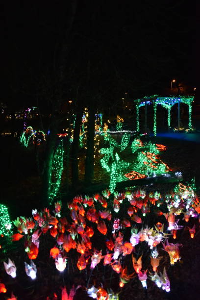 istock Christmas garden decoration 1079517114