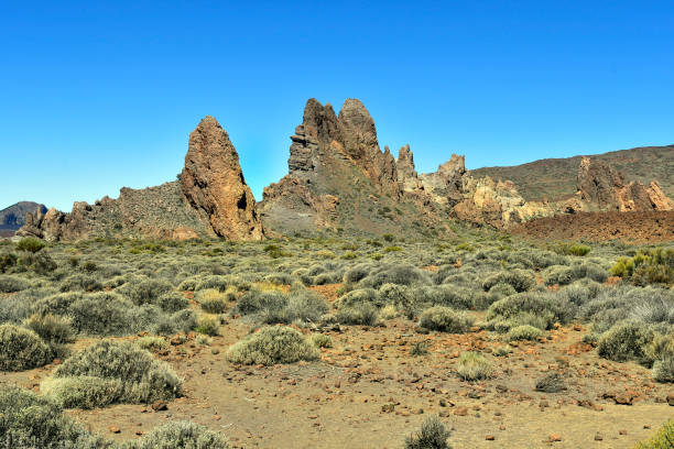 istock Spain, Canary Islands, Tenerife, Los Roques 1079521948