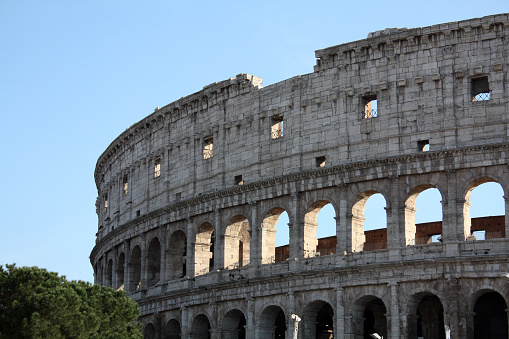 Coliseum. Rome.Italy. Sunny day.