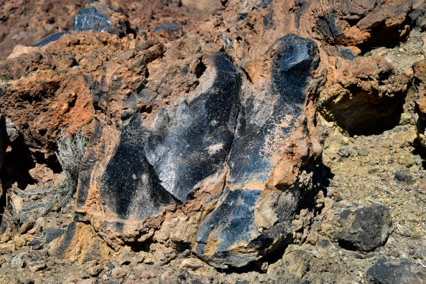 istock Spain, Canary Islands, Tenerife, Teide National Park 1079522670