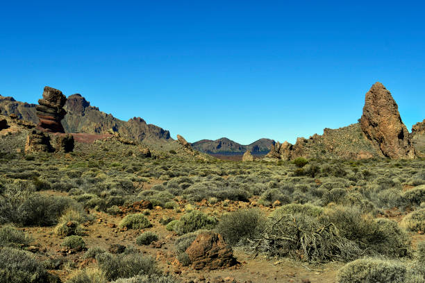 istock Spain, Canary Islands, Tenerife, Teide National Park 1079523262