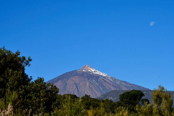 istock Spain, Canary Islands, Tenerife, Teide National Park 1079523492
