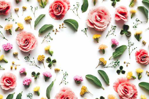 Spring background with colorful flowers and green leaves. Copy space. Flat lay.