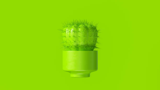 istock Lime Green Cactus with Lime Green Plant Pot 1079527412